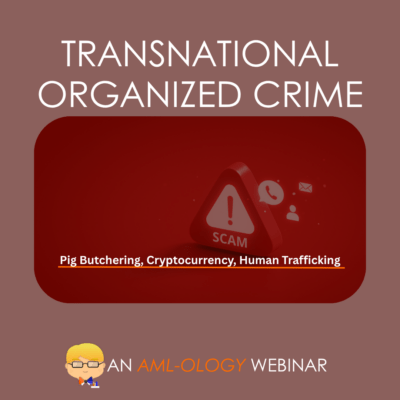 HOT TOPIC WEBINAR: TRANSNATIONAL ORGANIZED CRIME
