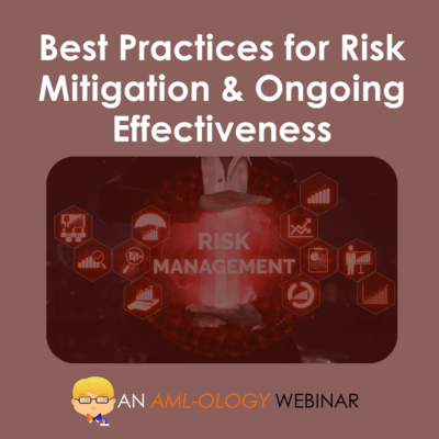 Best Practices for Risk Mitigation & Ongoing Effectiveness